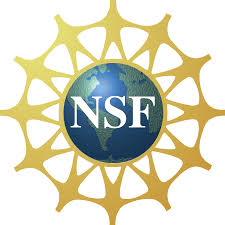 Logo - national science foundation